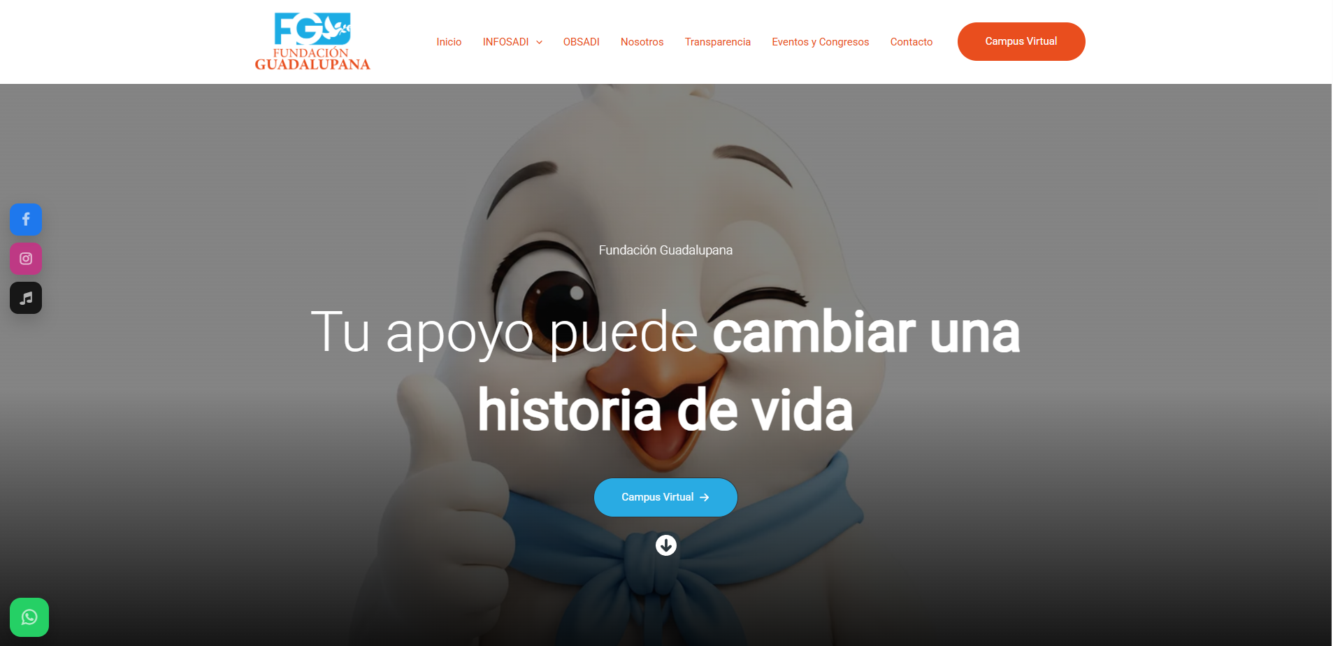 Sitio web Fundación Guadalupana